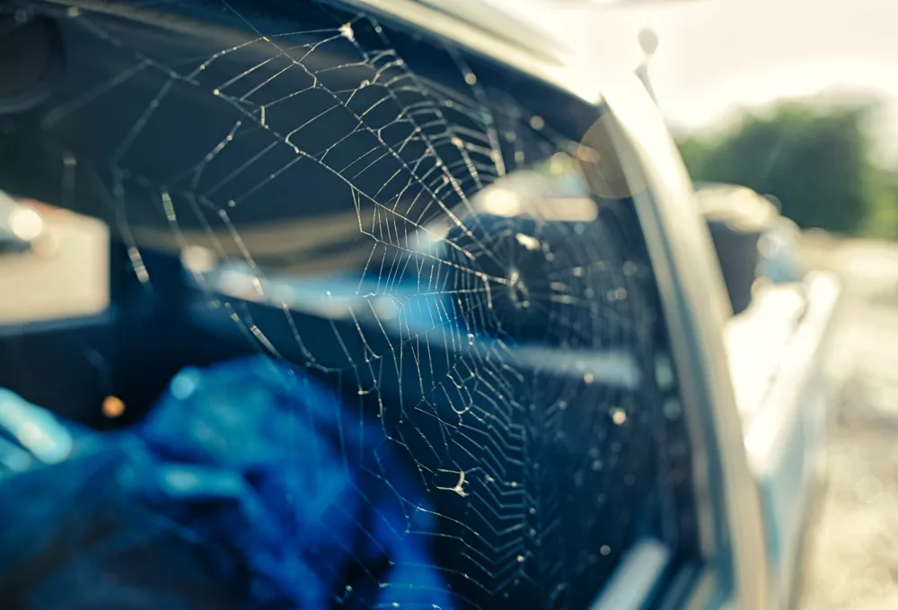 Photo of a spider web in the smashed out window of an abandoned truck.